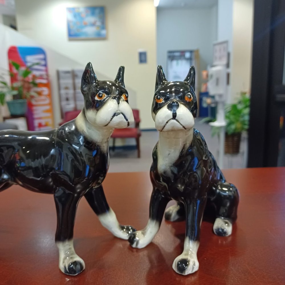 Last Chance Vintage Black and White Boxer dogs (2)   100% $ donated to charity